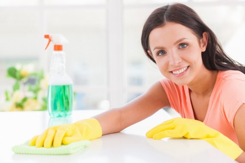 Deep cleaning service for a Paddington flat interior