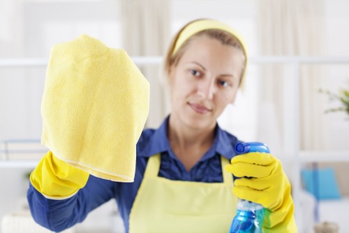 Professional sofa cleaning in a Paddington apartment living room