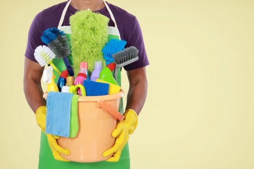 Professional mattress cleaning service in Paddington for homes and apartments