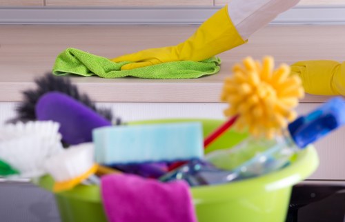 Preparation and aftercare for pet stain odour removal in Paddington