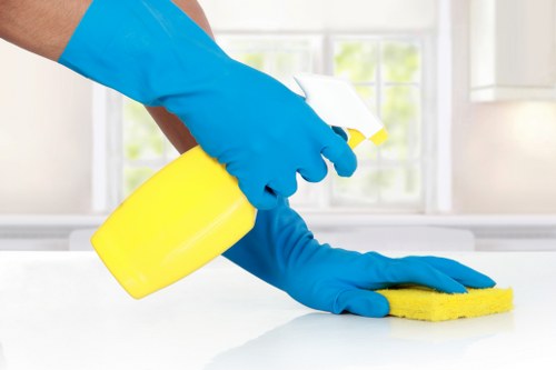 Local house cleaning service covering Paddington and nearby areas