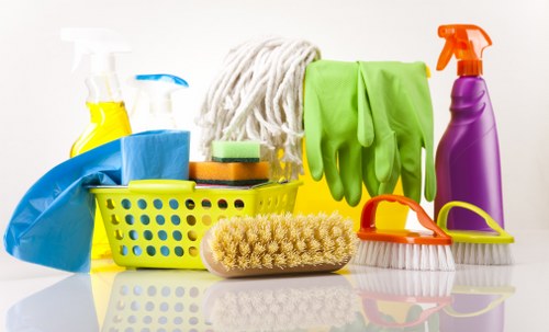 Professional after builders cleaning in a Paddington apartment after renovation