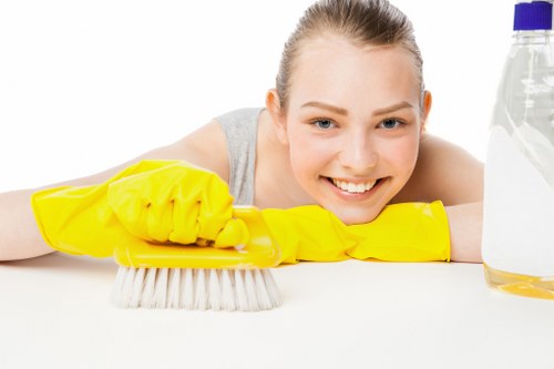 Careful stain treatment during carpet cleaning in Paddington