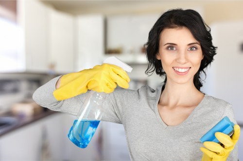 Professional domestic cleaning visit for a period property in Paddington