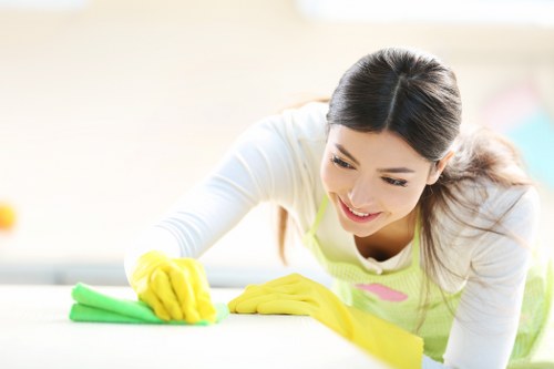 Local cleaners working in a central Paddington home