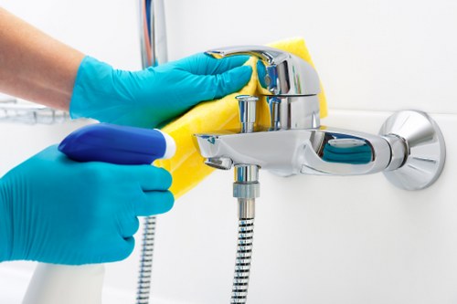 Oven door and glass cleaning service for Paddington properties