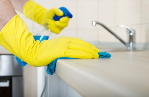 Upholstery cleaning tools and fabric care for a sofa in Paddington