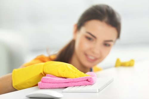 Detailed cleaning of a Paddington apartment living area