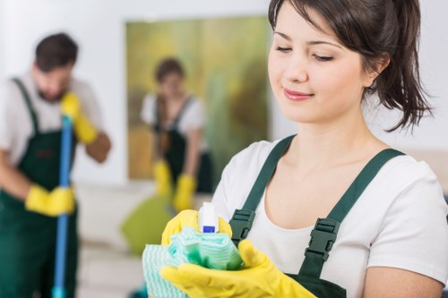 Kitchen cleaning service in a Paddington apartment