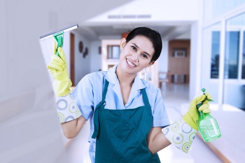 Borough-style recycling separation and Paddington Cleaner sustainability practices