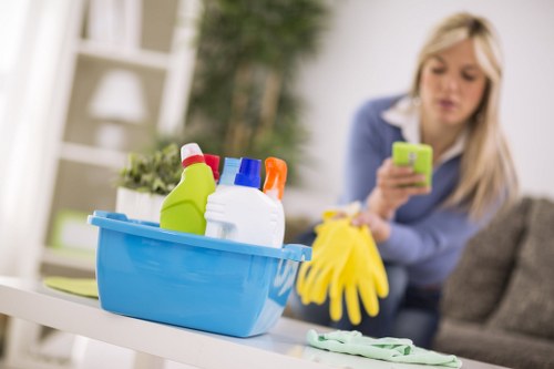 Deep cleaning equipment used for pet odour removal in a Paddington apartment