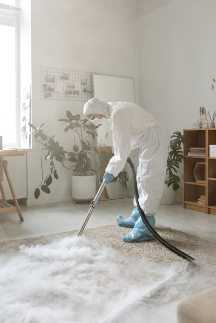 A professional cleaner dressed in a white protective suit, gloves, and blue shoe covers is performing deep carpet cleaning in a bright, minimalist living room. The cleaner is using a wet vacuum or steam extraction tool on a light-colored, textured carpet, which appears to be in the process of being sanitised and thoroughly cleaned. The room has natural daylight streaming in through a large window, illuminating the clean and tidy space. Behind the cleaner, there are two large potted plants with broad, dark green leaves, a wooden shelving unit with decorative items, and a white wall with a small bulletin board displaying notes or images. The overall scene highlights surface cleaning and maintenance aimed at achieving hygiene and freshness, as part of Paddington Cleaner's domestic cleaning services in Little Venice. The surfaces visible include the carpet, smooth wooden furniture, and ceramic pots, all in a neat, dust-free condition with an emphasis on effective deep cleaning and sanitisation.